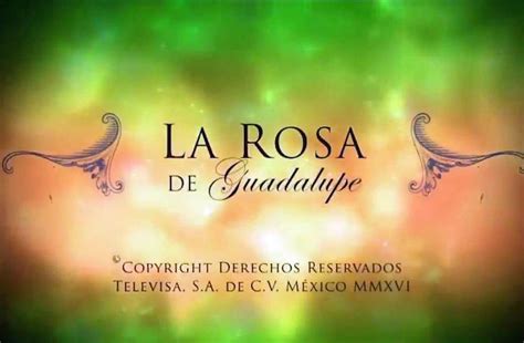 la rosa de guadalupe mas reciente